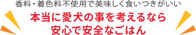 本当に愛犬の事を考えるなら安心で安全なごはん